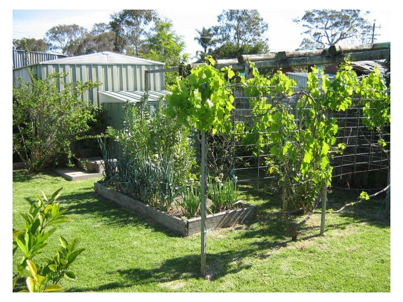 37 Haslingden Street, Moruya NSW 2537