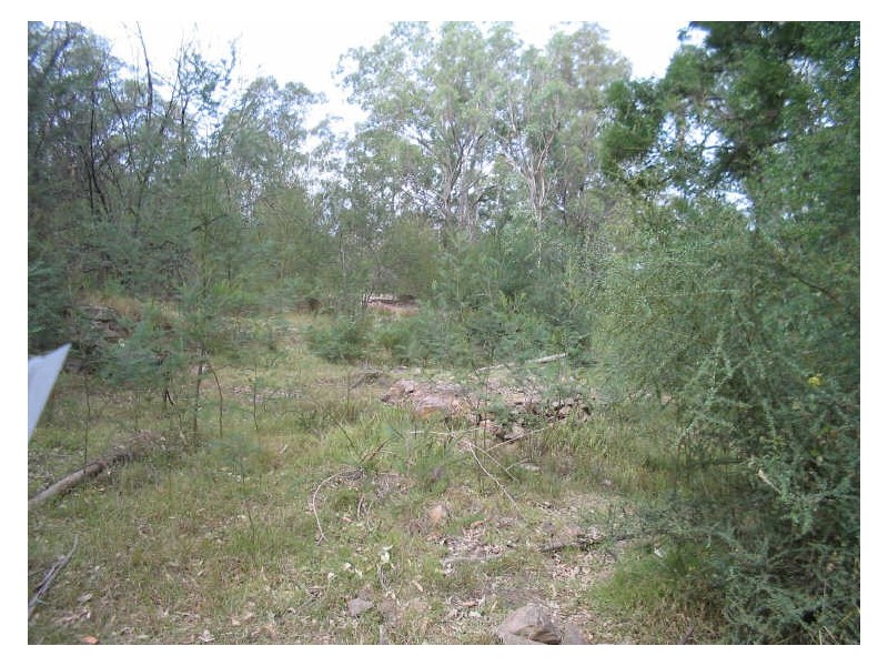 2519 Araluen Road, Bergalia NSW 2537