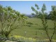 129 Congo Road, Moruya NSW 2537