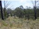 Lot 120 Lyrebird Place, Bodalla NSW 2545