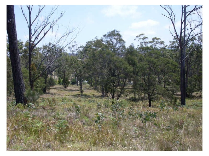 Lot 120 Lyrebird Place, Bodalla NSW 2545