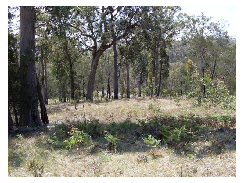 Lot 120 Lyrebird Place, Bodalla NSW 2545