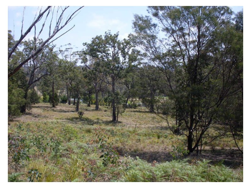 Lot 120 Lyrebird Place, Bodalla NSW 2545