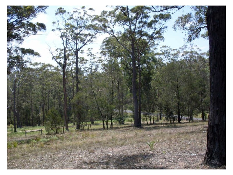 Lot 120 Lyrebird Place, Bodalla NSW 2545