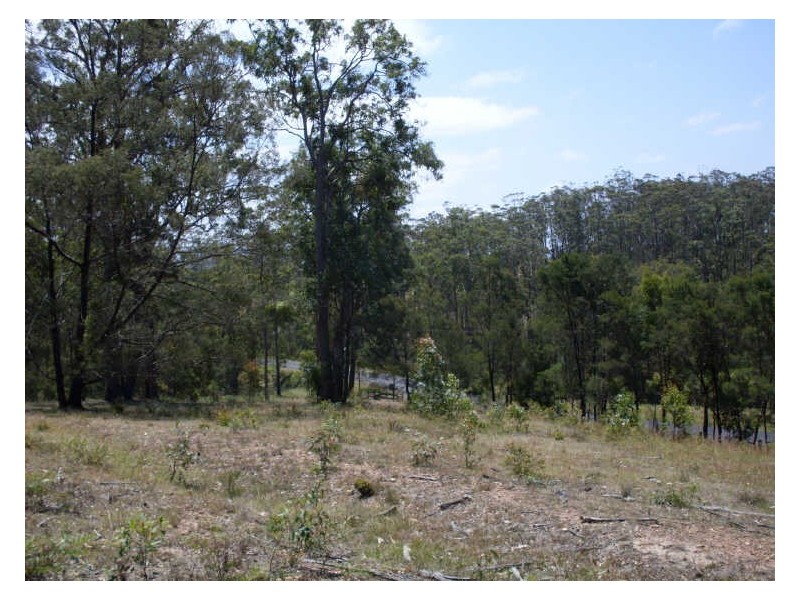 Lot 120 Lyrebird Place, Bodalla NSW 2545