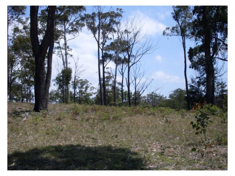 Lot 120 Lyrebird Place, Bodalla NSW 2545