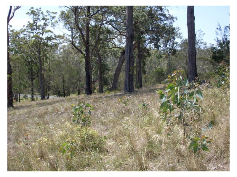 Lot 120 Lyrebird Place, Bodalla NSW 2545
