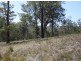 Lot 120 Lyrebird Place, Bodalla NSW 2545