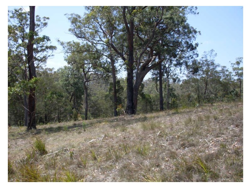 Lot 120 Lyrebird Place, Bodalla NSW 2545