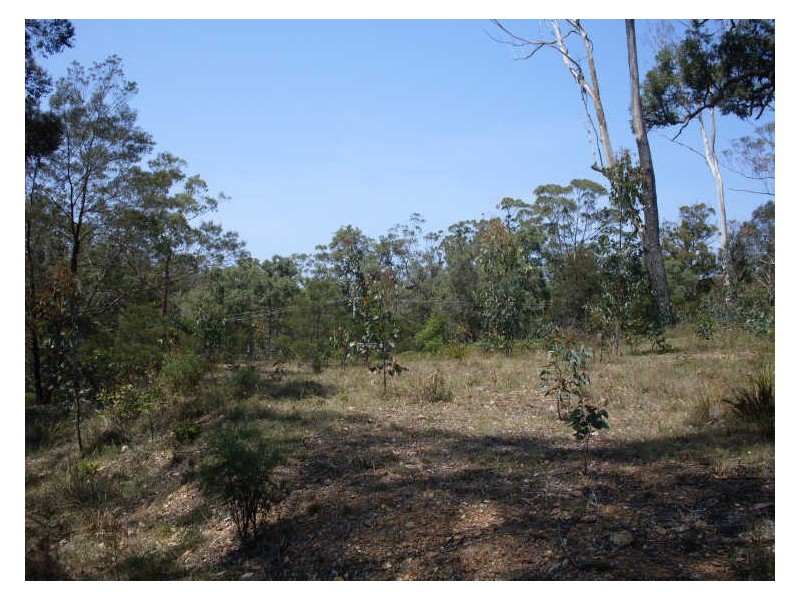 Lot 120 Lyrebird Place, Bodalla NSW 2545