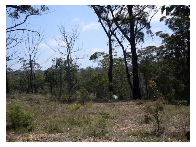 Lot 120 Lyrebird Place, Bodalla NSW 2545