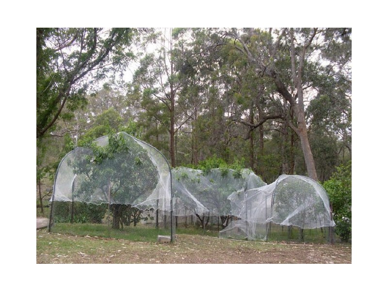 23 Woodlands Way, Meringo NSW 2537