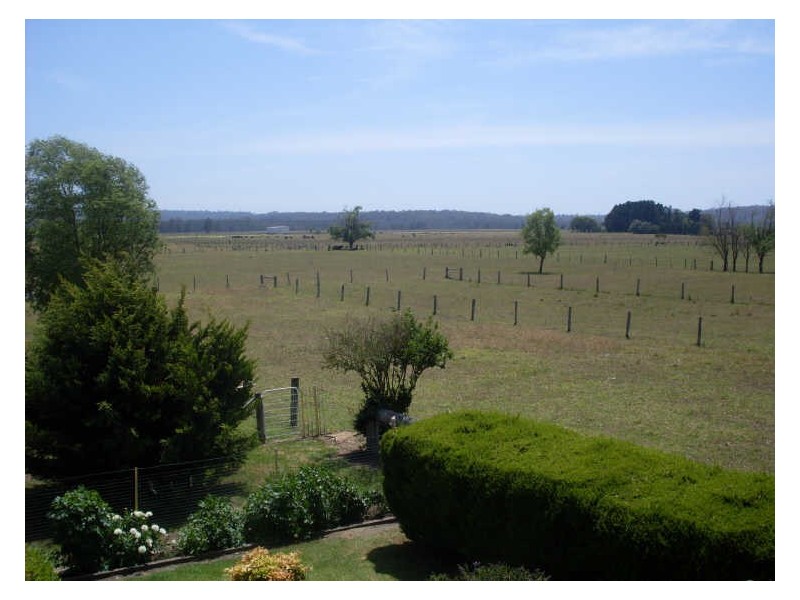 20 North Head Drive, Moruya NSW 2537
