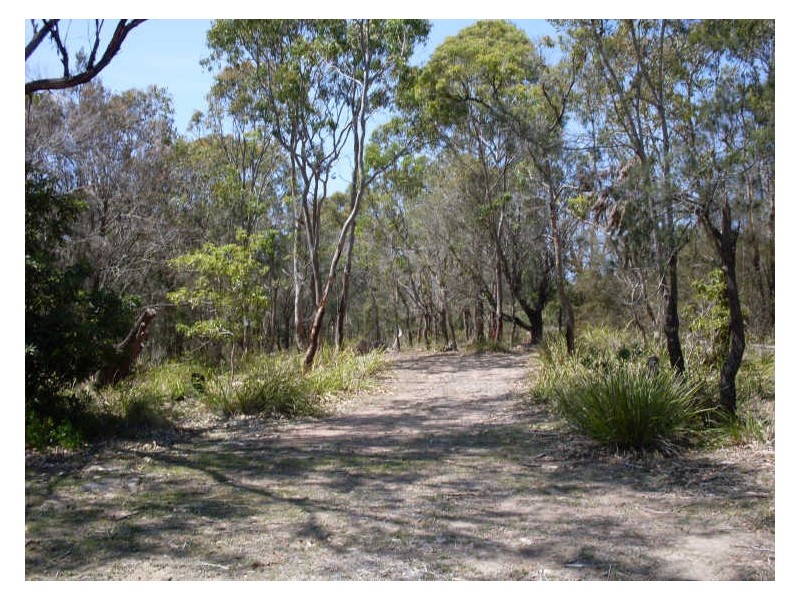 19 Kellys Close, Bingie NSW 2537