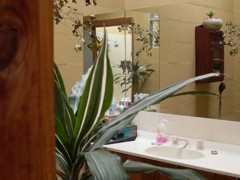 68 Eurobodalla Road, Bodalla NSW 2545