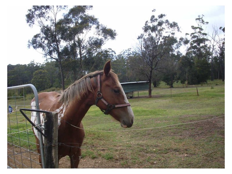 68 Eurobodalla Road, Bodalla NSW 2545