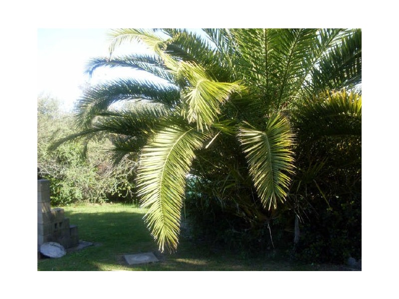 246 Hector McWilliam Drive, Tuross Head NSW 2537