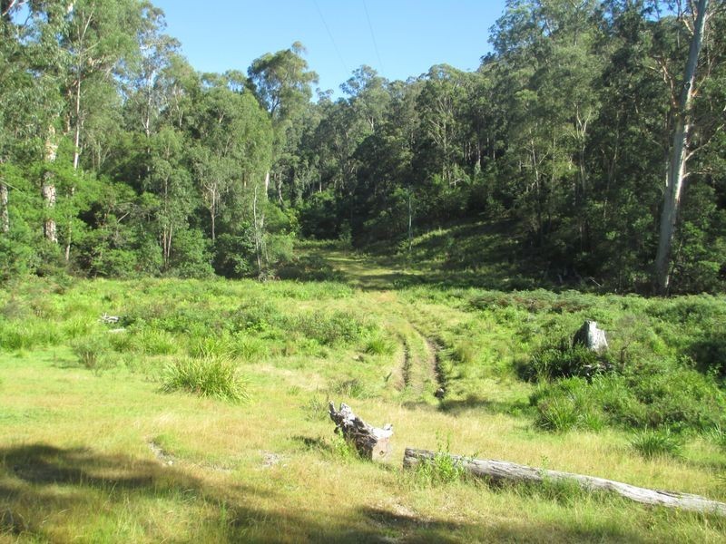 161 Eastern Boundary Road, Moruya NSW 2537