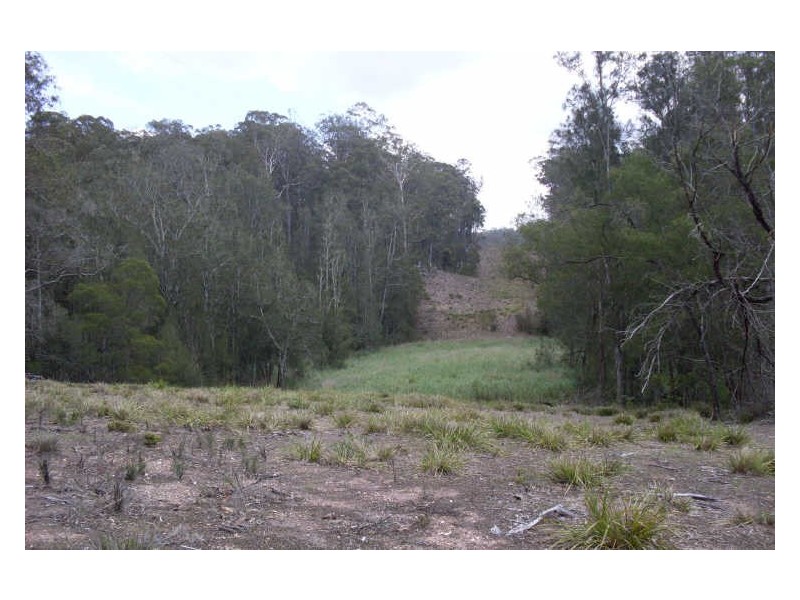 161 Eastern Boundary Road, Moruya NSW 2537