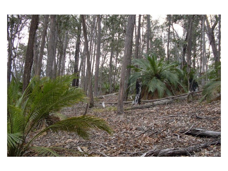 161 Eastern Boundary Road, Moruya NSW 2537