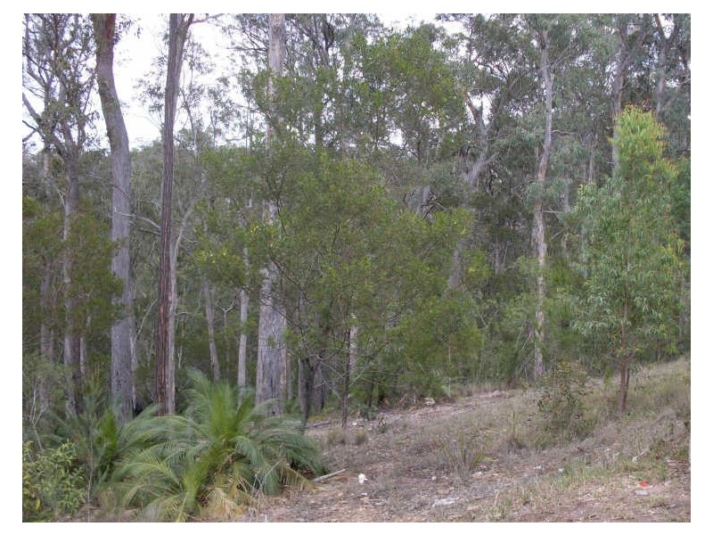 161 Eastern Boundary Road, Moruya NSW 2537