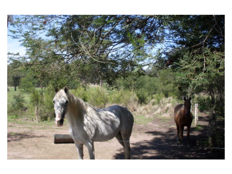 126 Bushlark Close, Bodalla NSW 2545