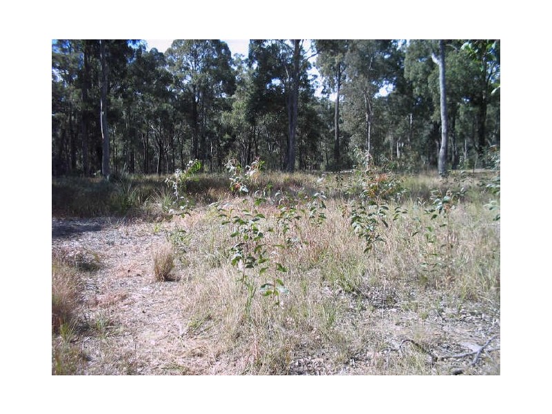 13 Namadgi Lane, Bergalia NSW 2537