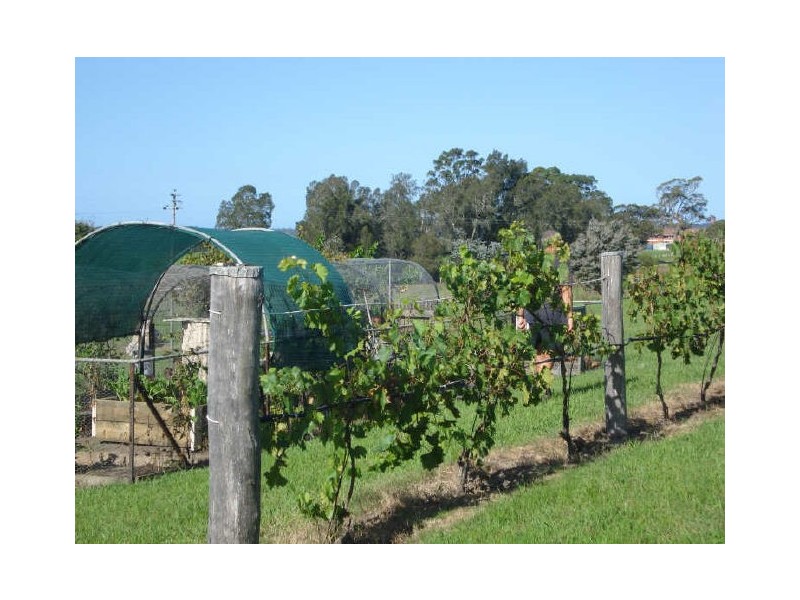 1 Riverwood Place, Moruya NSW 2537