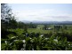 63 Congo Road, Moruya NSW 2537
