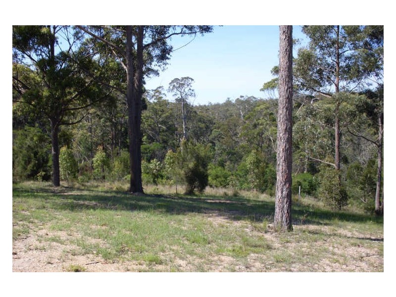 Lot 20 Blair Close, Angledale NSW 2550