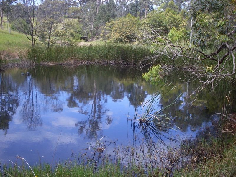 295 Araluen Road, Moruya NSW 2537