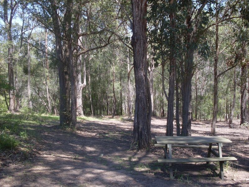 295 Araluen Road, Moruya NSW 2537