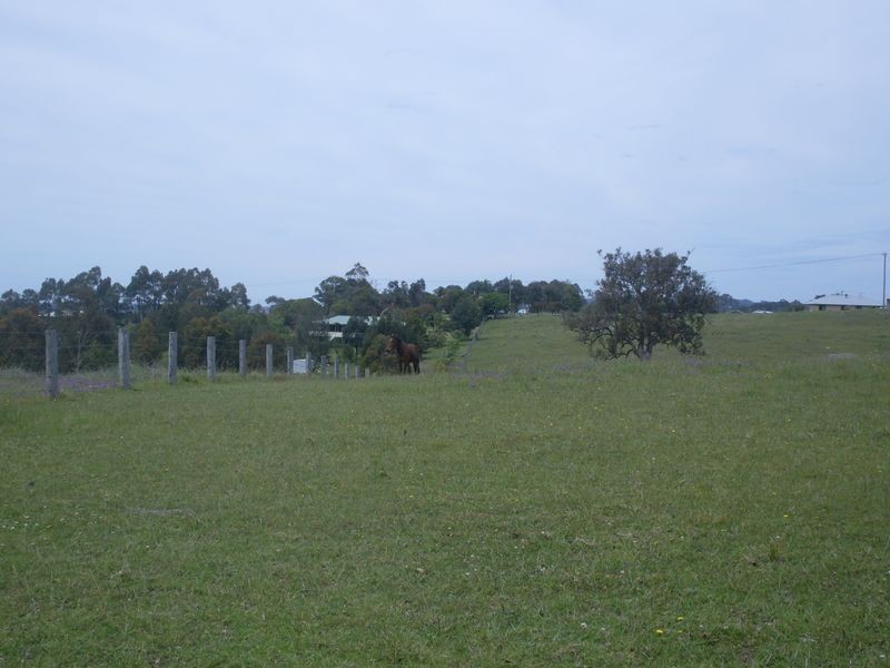58 Mountain View Road, Moruya NSW 2537