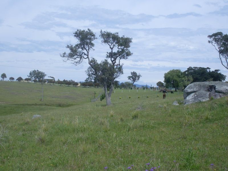 58 Mountain View Road, Moruya NSW 2537