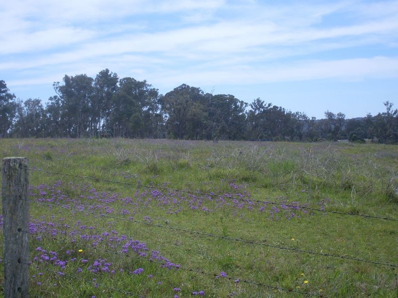 58 Mountain View Road, Moruya NSW 2537