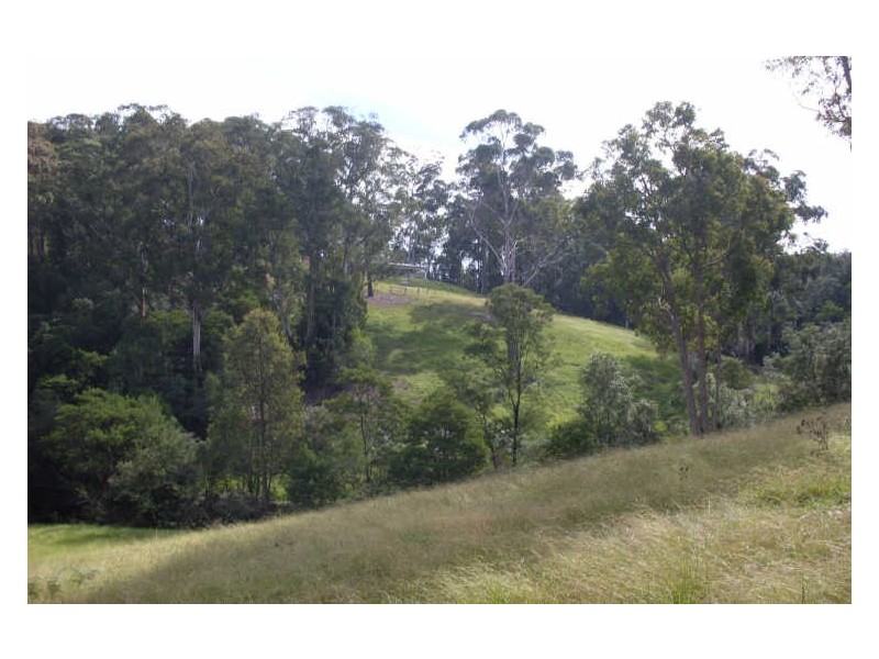 369 Dwyers Creek Road, Moruya NSW 2537