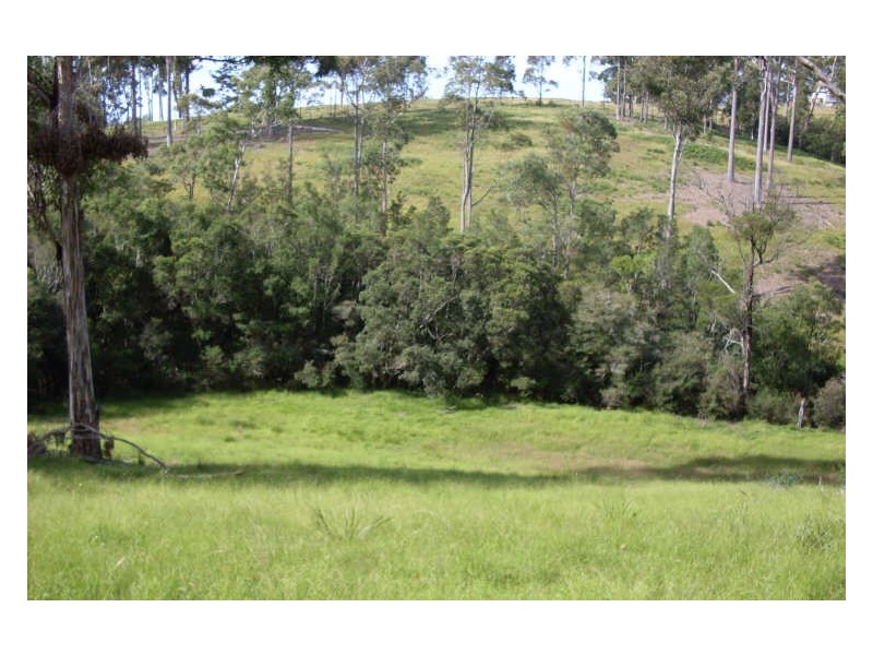 369 Dwyers Creek Road, Moruya NSW 2537