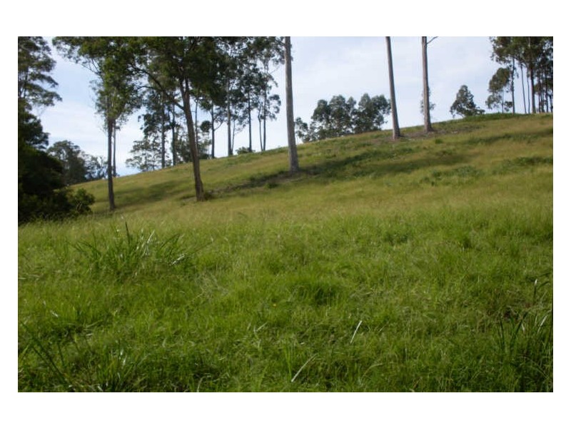 369 Dwyers Creek Road, Moruya NSW 2537