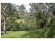 369 Dwyers Creek Road, Moruya NSW 2537