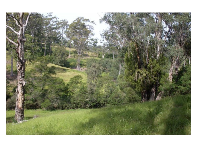 369 Dwyers Creek Road, Moruya NSW 2537