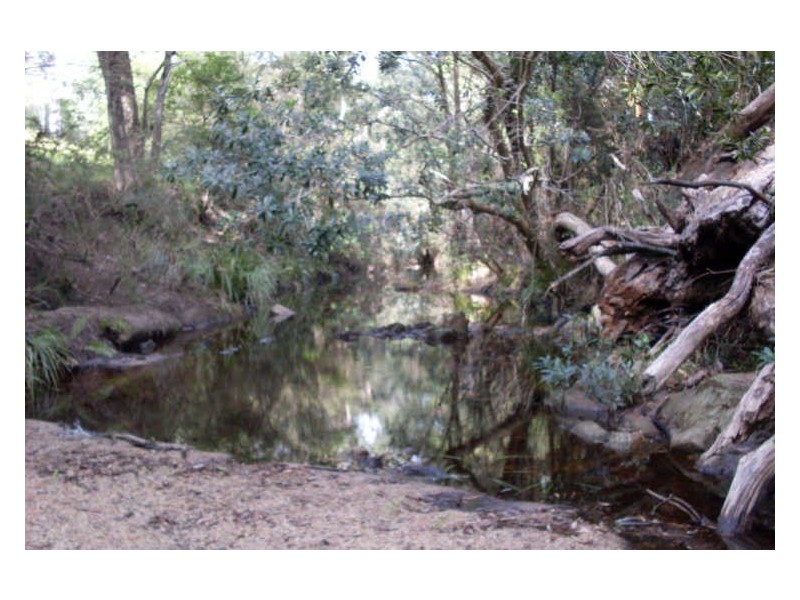 369 Dwyers Creek Road, Moruya NSW 2537