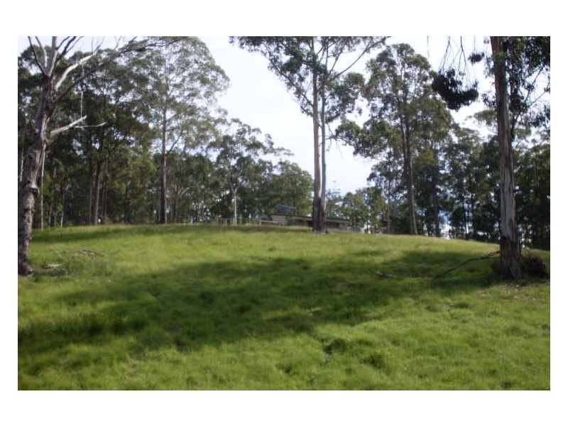 369 Dwyers Creek Road, Moruya NSW 2537