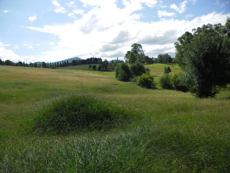 420 Larrys Mountain Road, Moruya NSW 2537