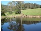 324 Clouts Road, Moruya NSW 2537