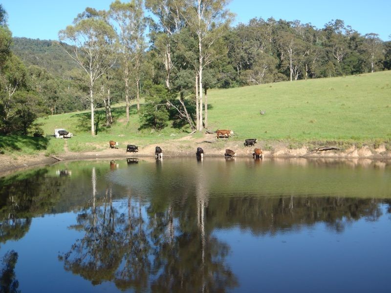 324 Clouts Road, Moruya NSW 2537