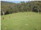 324 Clouts Road, Moruya NSW 2537