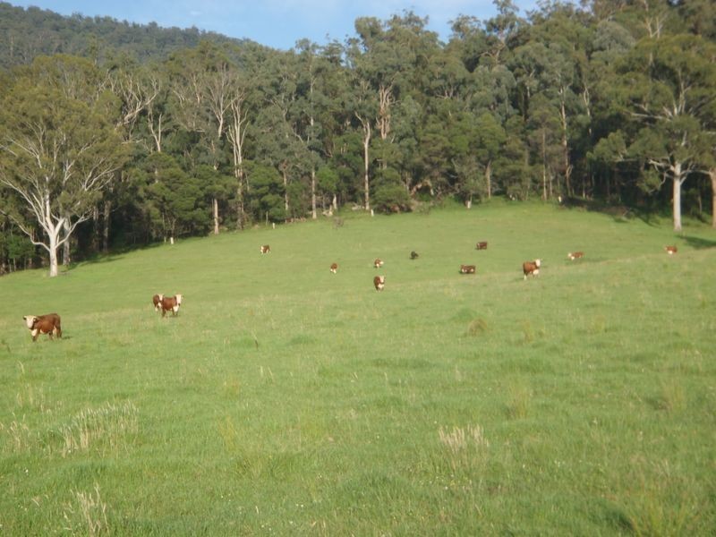 324 Clouts Road, Moruya NSW 2537