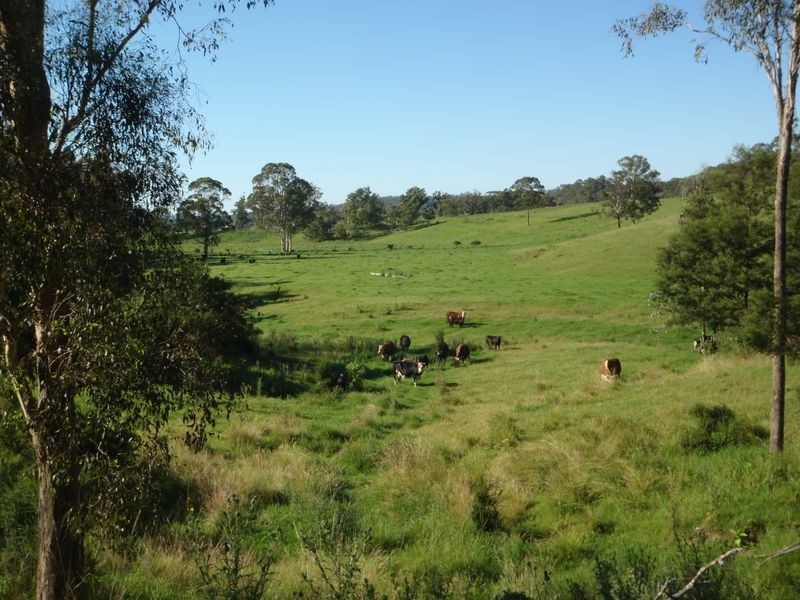 324 Clouts Road, Moruya NSW 2537