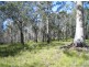 Lot 8 & 32 Princes Highway, Moruya NSW 2537