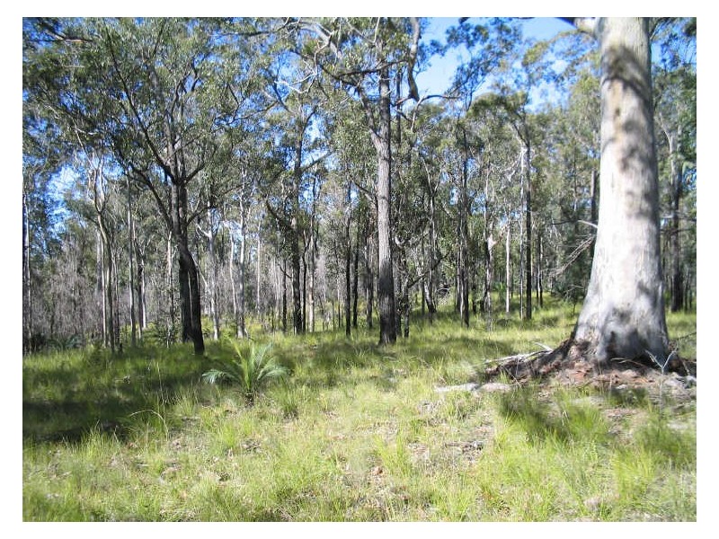 Lot 8 & 32 Princes Highway, Moruya NSW 2537